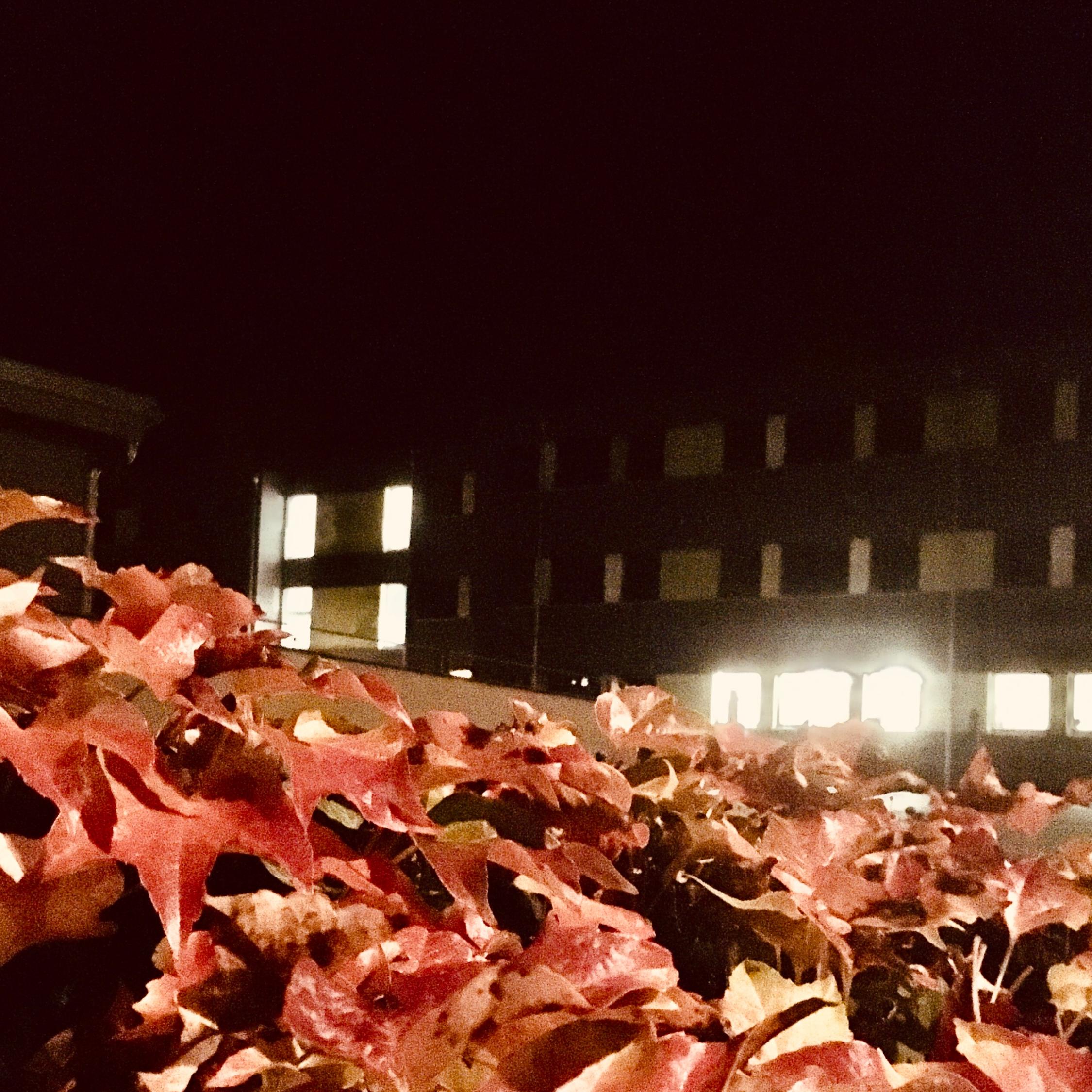EAG Herbst