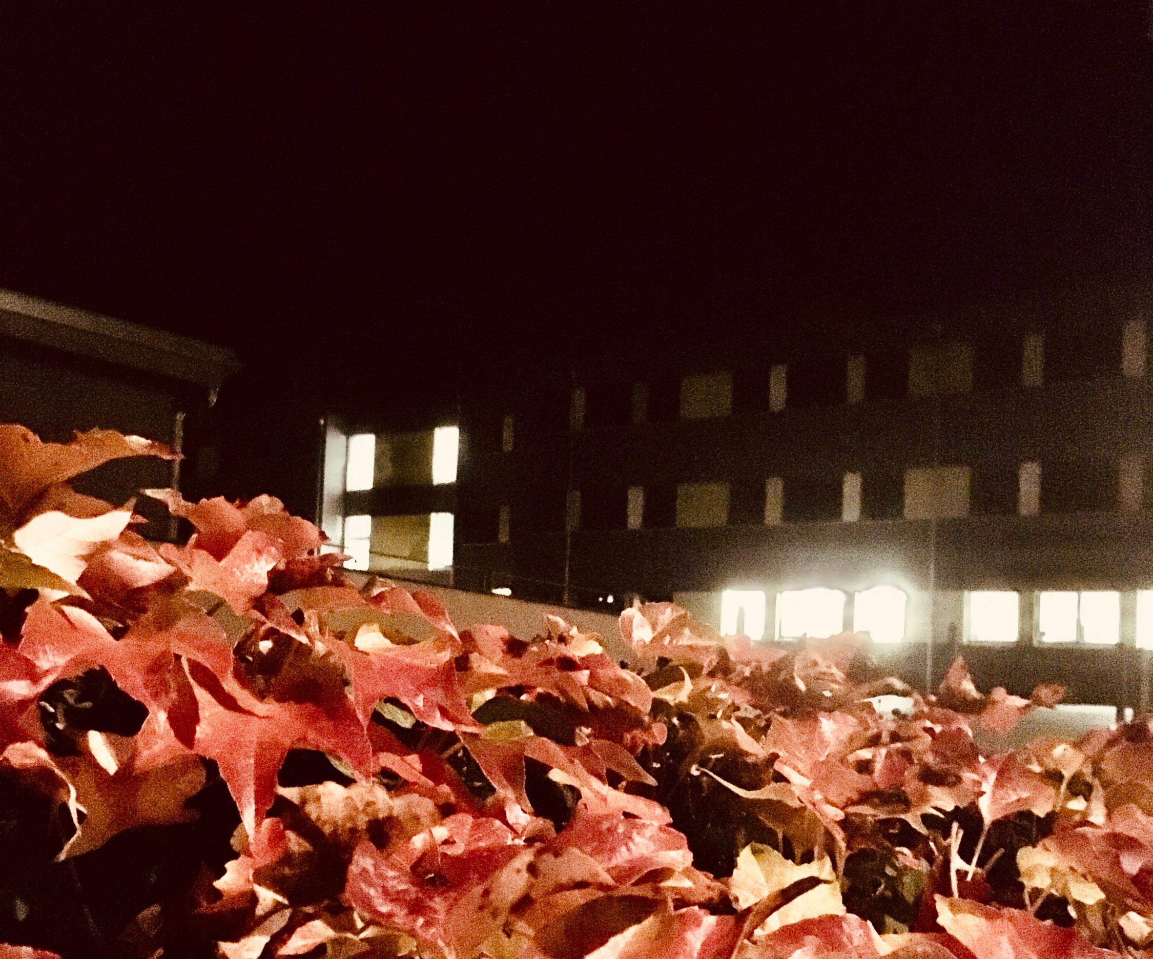 EAG Herbst